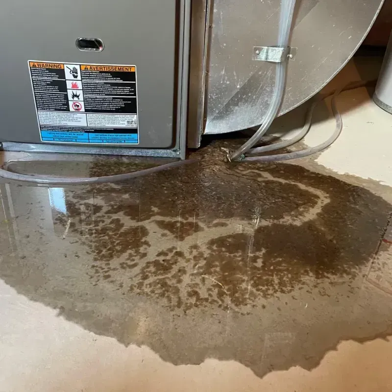 Appliance Leak Cleanup in Prairie City, IA